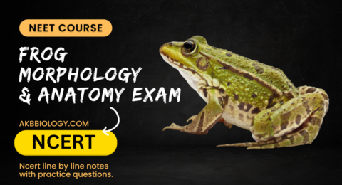 Frog morphology and anatomy exam
