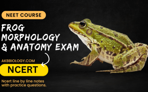 Frog morphology and anatomy exam