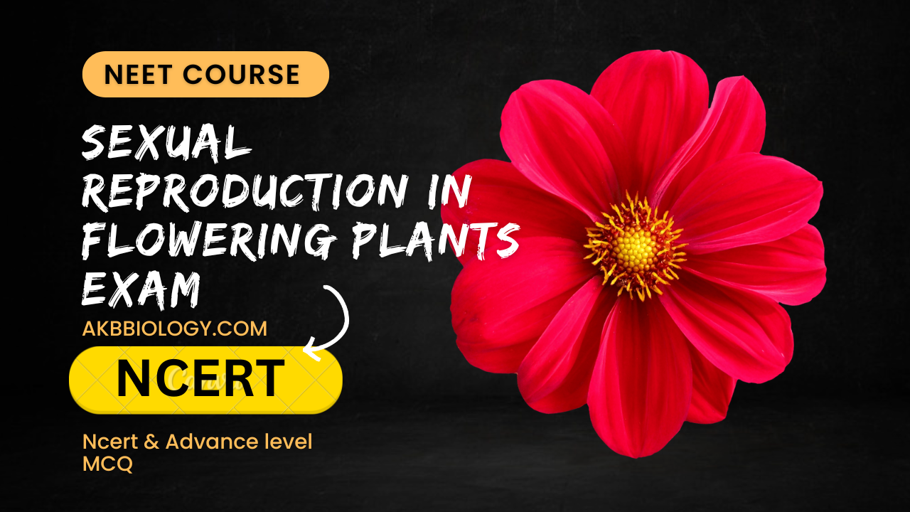 Sexual Reproduction in Flowering Plants